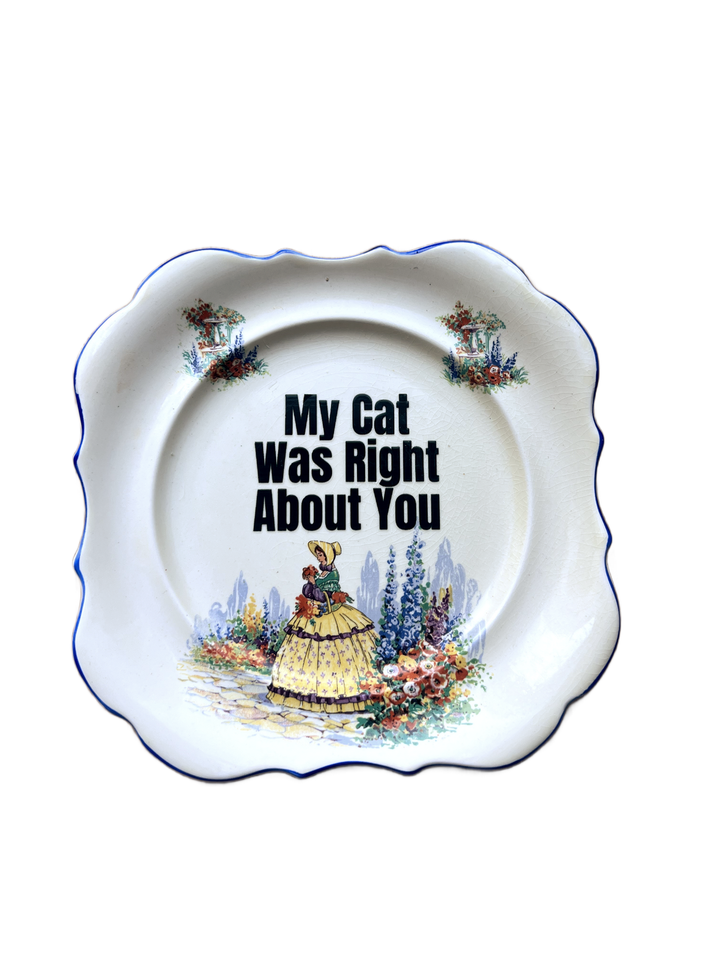 Me-ow - My Cat Was Right