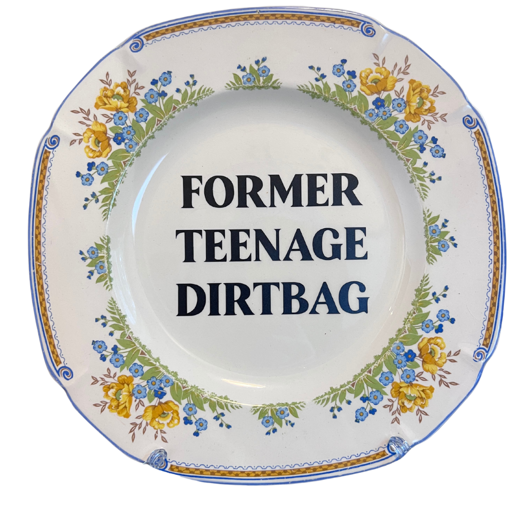 Former Teenage Dirtbag, Baby