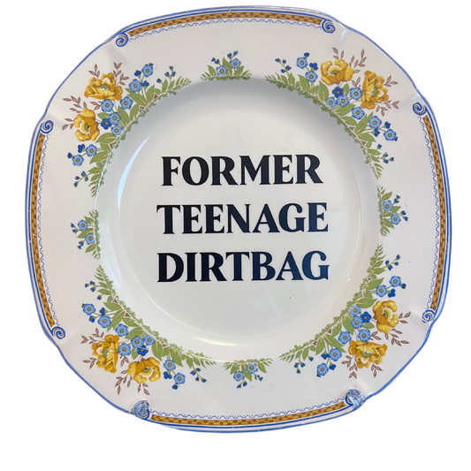 Former Teenage Dirtbag, Baby